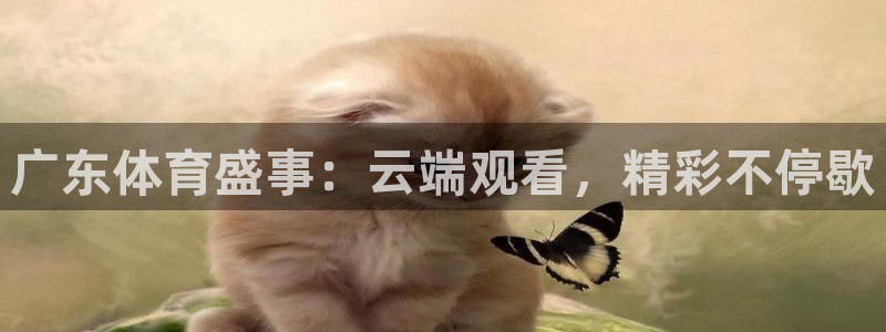 蜘蛛直播在线足球：广东体育盛事：云端观看，精彩不停歇
