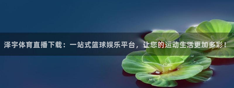 蜘蛛直播体育在线观看免费下载：泽宇体育直播下载：一站式篮球娱乐平台，让您的运动生活更加多彩！