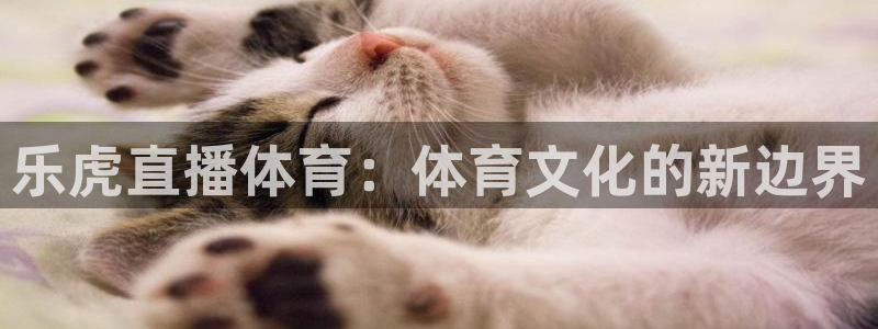 蜘蛛直播nba免费观看：乐虎直播体育：体育文化的新边界