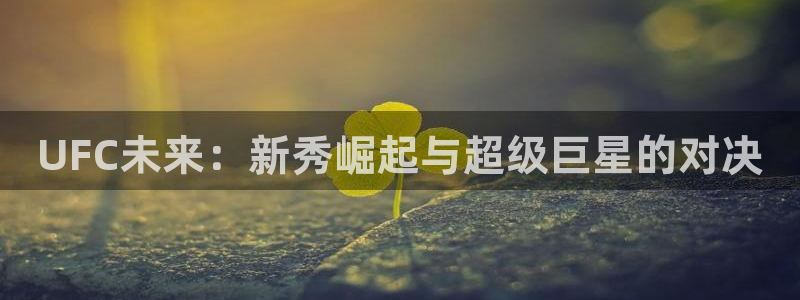 蜘蛛直播间：UFC未来：新秀崛起与超级巨星的对决