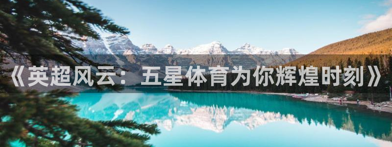 蜘蛛直播体育app：《英超风云：五星体育为你辉煌时刻》