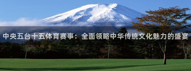 蜘蛛直播下载：中央五台十五体育赛事：全面领略中华传统文化魅力的盛宴