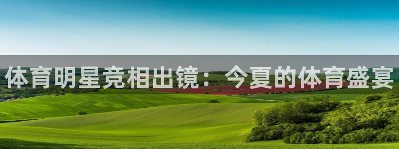 蜘蛛直播网球：体育明星竞相出镜：今夏的体育盛宴