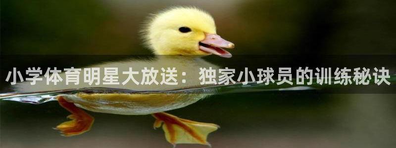 蜘蛛直播网球：小学体育明星大放送：独家小球员的训练秘诀