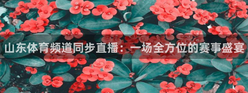 蜘蛛直播体育app下载：山东体育频道同步直播：一场全方位的赛事盛宴