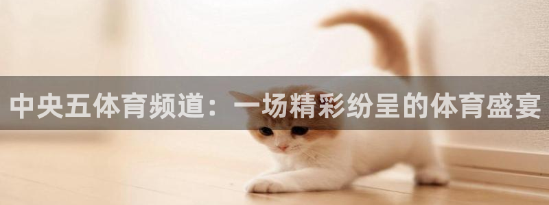蜘蛛直播.：中央五体育频道：一场精彩纷呈的体育盛宴