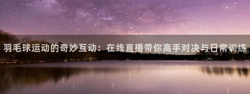 蜘蛛直播间足球：羽毛球运动的奇妙互动：在线直播带你高手对决与日常训练