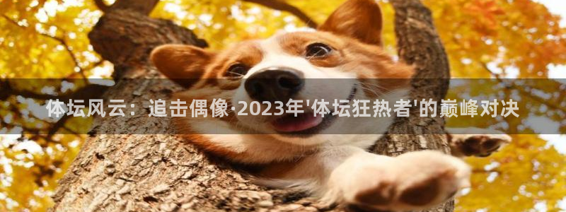 nba直播蜘蛛直播：体坛风云：追击偶像·2023年\'体坛狂热者\'的巅峰对决